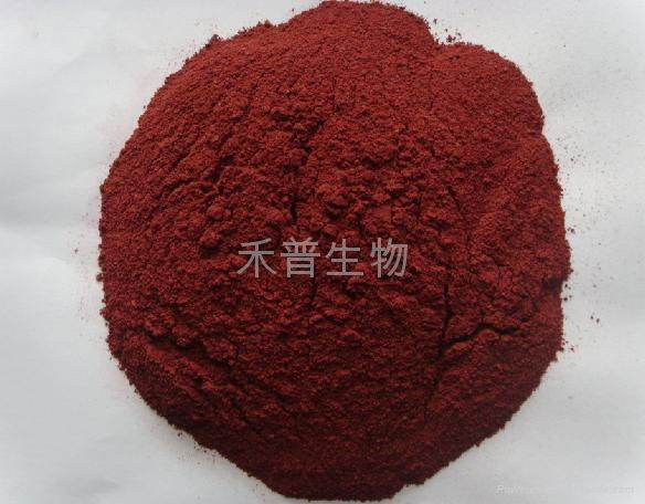 Red Yeast Rice