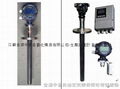 Insertion Electromagnetic Flowmeter 1