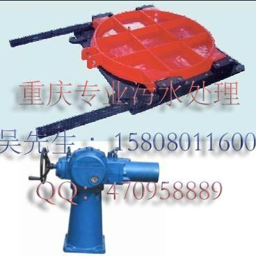 ty型升降式调节堰门 3