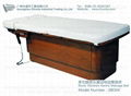Electric Beauty massage bed