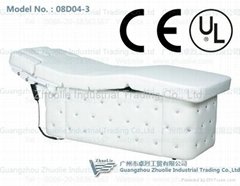 Luxury electrical beauty bed