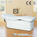 Luxury electrical beauty bed 2