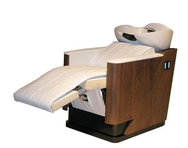 Electrical hair washing unit 12C04 Zhuolie (China Manufacturer