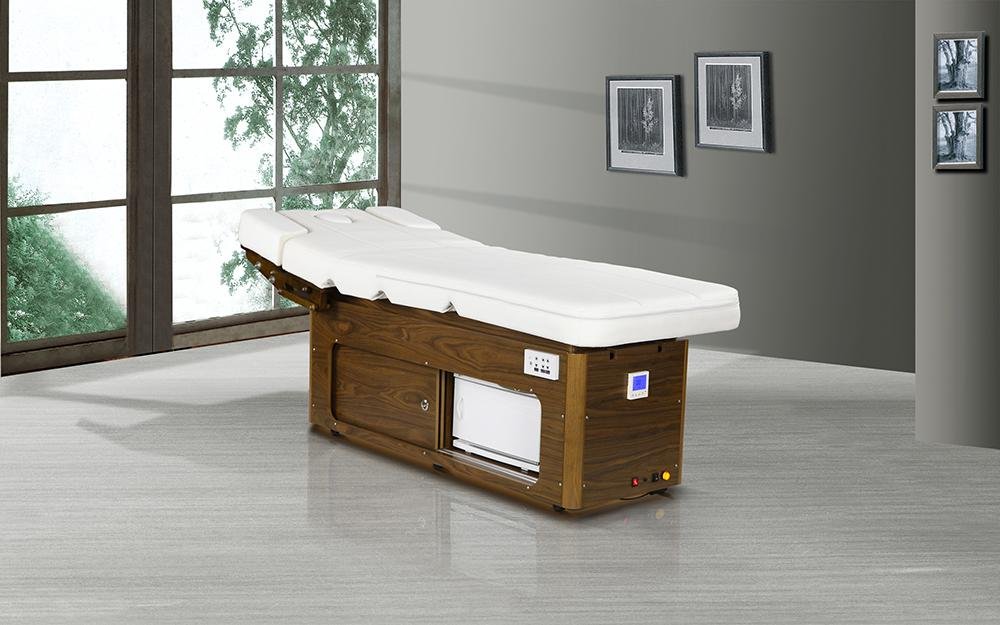 top-class all-purpose beauty bed 2