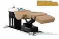 Functional electrical washing chair and massage bed 1