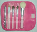 Manufactury Supply Beautiful 6PCS Cosmetic Brush set