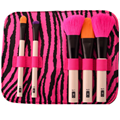 Manufacturer OEM Gift Pack 5 mini set makeup brush Beauty tools