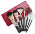  cosmetic brush set