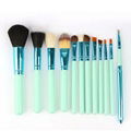 XINYANMEI Manufactury fashion 12PCS  hot sale cosmetic brush set makeup set  1