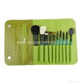 Manufactury Supply Travel Cosmetic Brush Set -10pcs Can OEM/ODM