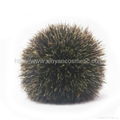 Pure natural Zhu Zongmao Shaving brush Men shaving helper Beard brush 5