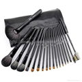 Manufacturer OEM/ODM 19 professional animal hair brush set