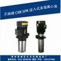 CRK2-30 多級泵
