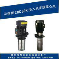CRK2-30 多級泵