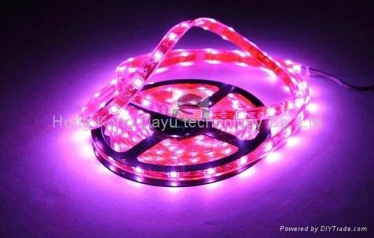 LED Soft Rope Light neon light  5