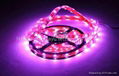 LED Soft Rope Light neon light  5