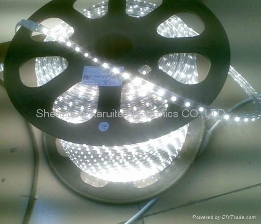 led flexible light strip supplier 2