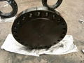 BLACK PAINT FORGED FLANGES 4