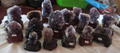 natural amethyst clusters
