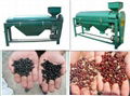 Bean Polishing Machine (agricultural machinery)