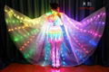 Wireless DMX512 LED Butterfly Wings