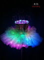 Remote Control Ballet Skirts, Programmable Saloon Girl Costume 5