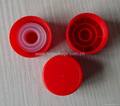 Plastic Lid and Insert for Oil Bottles