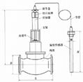 自立式溫控閥 1