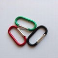 racetrack shape carabiner