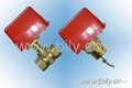 Vane type flow switch