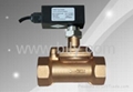 Piston Type Flow Switch 2