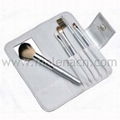 Travel brush set