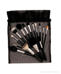 cosmetic brush set 