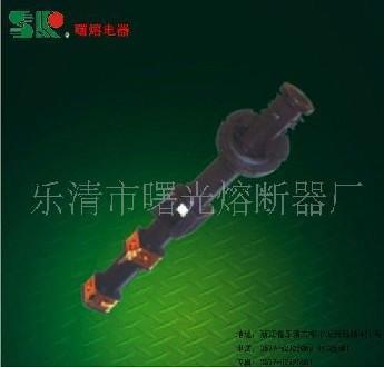 油浸式變壓器過載保護用高壓熔斷器 3