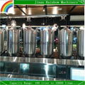 100L home brew beer making machine for sale 11