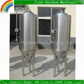 100 liter per batch craft beer machine