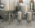 100 liter per batch craft beer machine 12