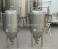 100 liter per batch craft beer machine