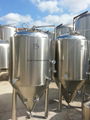 1000L beer fermentation tanks