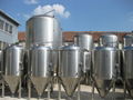 1000L beer fermentation tanks