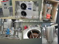 Complete 300L beer brewery equipment