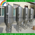 100L home brewing equipment for pub