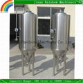 100L home brewing equipment for pub