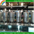 100 liter per batch restaurant micro brewery plant