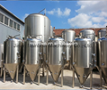 500L/1000L beer fermentation tank