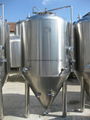 500L/1000L beer fermentation tank