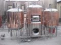 Copper 300L brewhouse equipment, mash