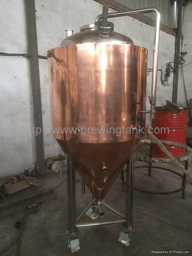 300L stainless steel tank, Pub beer brewing equipment 5