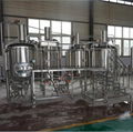 Craft beer brewery system, brewing equipment 1