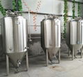 500L/1000L beer fermentation tank